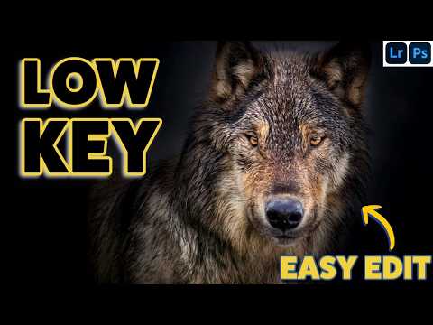 Transform Wildlife Photos into Stunning Low-Key Masterpieces | Lightroom & Photoshop Tutorial