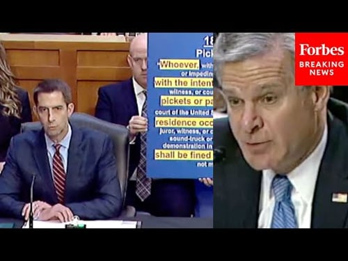 Cotton To Wray: Did Biden DOJ Instruct You Not To Arrest Supreme Court Justices' Home Protesters?