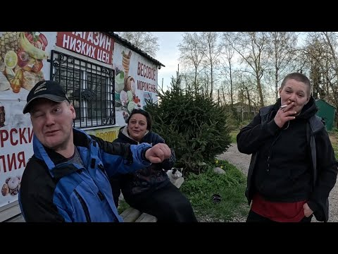 Приглашение в постельку, Новый имидж Воровки, Элитный поставщик всех уделает, Цыганские прихваты'