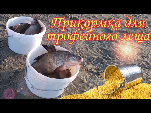Прикормка на Трофейного Леща и крупную белую рыбу!!! Рассыпчатая каша для РЫБАЛКИ.