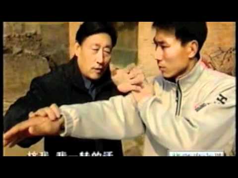 陈家沟 Documentary