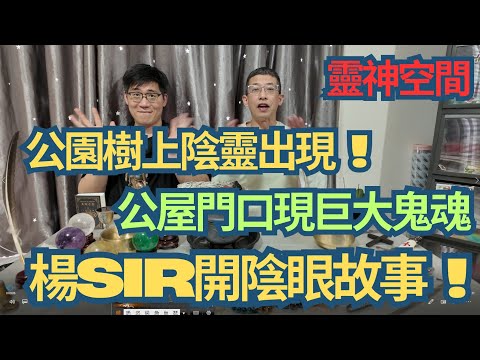 塔羅師/西方魔法師 (楊Sir)/楊Sir開陰眼故事/公園樹上陰靈飛出/公屋家門口現巨大黑色鬼魂/