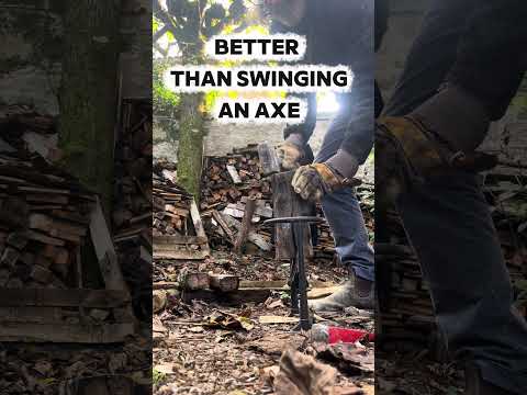 Collecting & splitting wood - with help from the fur babies! #restoration #woodsplitting #schnauzer