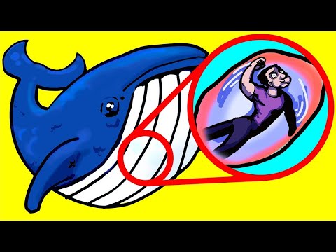 Странные Вещи, Съеденные Животными