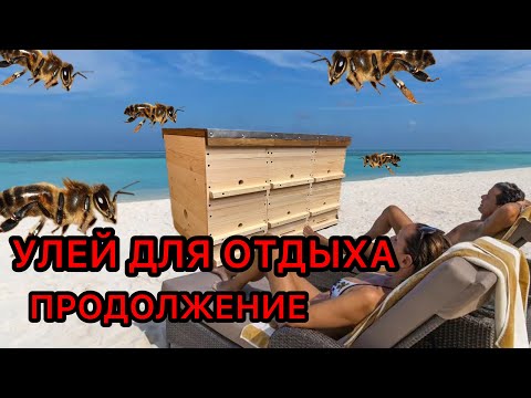 REST HIVE. CONTINUED