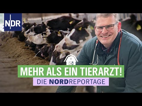 Mit dem Großtierarzt von Hof zu Hof | Die Nordreportage | NDR