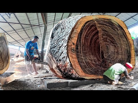Proses bikin meja bundar yang mengerikan !! gergaji kayu trembesi I Sawmill
