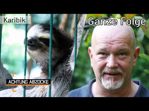 Faultiere, Kaffee und der Abzocke-FLUCH in der Karibik! | GANZE FOLGE | Achtung abzocke