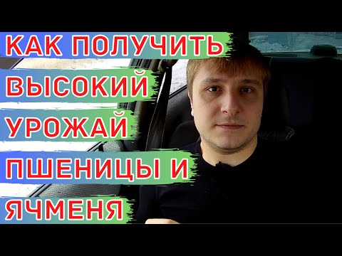 Схема питания для пшеницы и ячменя. Минеральные удобрения при посеве. Листовые подкормки.