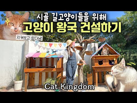 For Stray Cats, Create a 5-star luxury cat hotel and gift it (Upcycle wooden pallets)