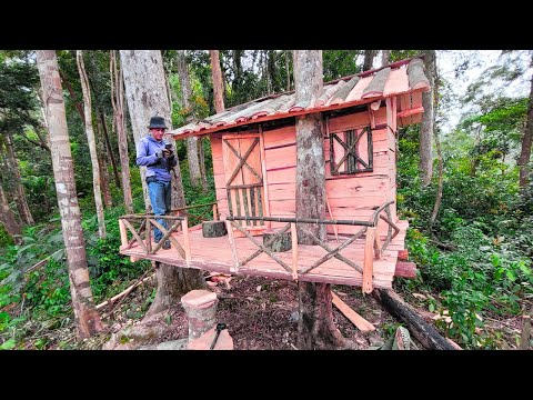 build a wooden house in the rainforest as a shelter | bushcraft skills