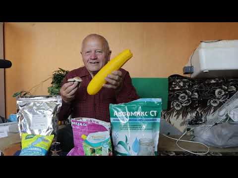 Джон Кэмпф научил меня побеждать вершинку на томатах. У меня получилось 100% эффекта. Теперь вы..