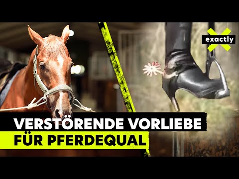 Gewalt an Pferden – wer steckt hinter den verstörenden Tierquälerei-Videos? | Doku | exactly