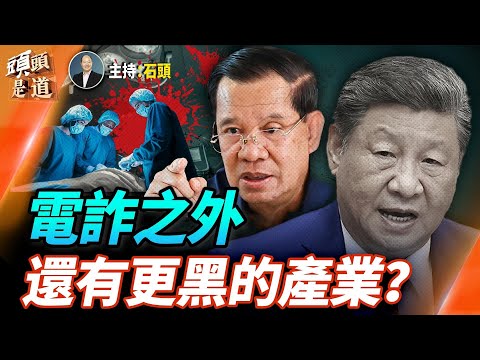 泰國痛擊柬埔寨,為什麼中國歡呼支持? 主持:石頭 【頭頭是道】
