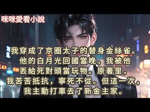 我穿成了京圈太子的替身金絲雀,他的白月光回國當晚,我被他丟給死對頭當玩物。原著里,我苦苦抵抗,寧死不從,但這一次,我主動打車去了新金主家…#一口气看完 #小说
