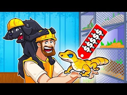 I made HUGE PROFITS selling rare geckos!