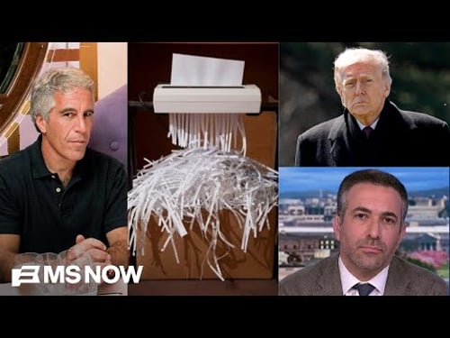 Evidence Bomb! Trump admin SHREDDED JAIL DOCS after Epstein death: Ari hosts scoop reporter