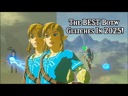 The Top 12 BEST Botw Glitches In 2025!