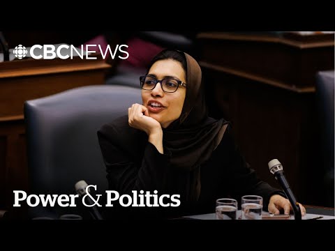 Ontario NDP deputy leader quits to run for Carney’s Liberals | Power & Politics