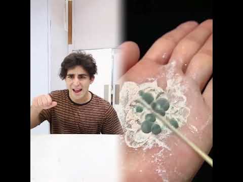 This is so funny, l couldn't stop laughing #funny #foryou #youtube #pov #fyp #viral #youtubeshorts