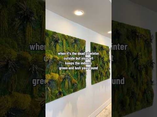 Keep it green year round with moss art by Kate the Earthling #moss #greenliving #plantdecor #plants