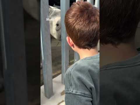 Meghan Markle shares sweet home videos of Archie and Lilibet