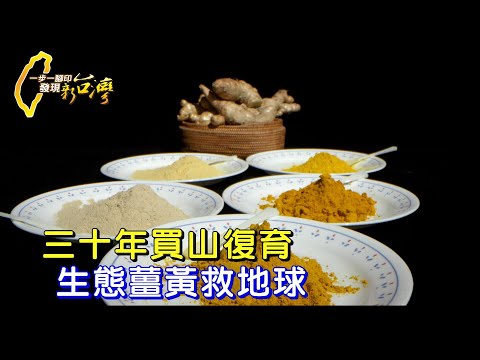 三十年憨人精神買山復育 自然老師種"原生種植物" 種"生態薑黃" 減碳救地球 ∣一步一腳印【生態實踐者薑黃達人】20250119