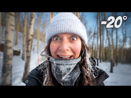 We climbed the tallest mountain in Colorado (Mt. Elbert in winter)