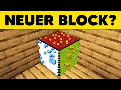 74 MINECRAFT ILLUSIONEN die deinen VERSTAND RAUBEN!