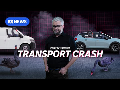 Transportation Stagnation | Black Swans 3 | If You're Listening