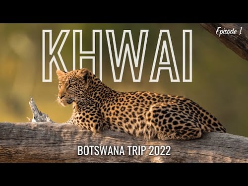Return to KHWAI - Botswana Trip 2022 | Episode 1