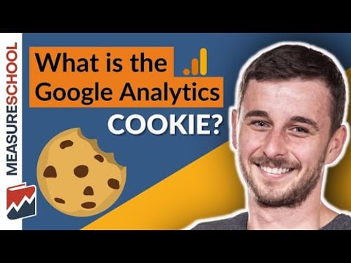 The Google Analytics Cookie (Explained)