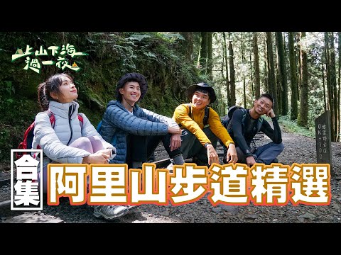 阿里山秋遊攻略|新手專家都適合 不管搭小火車或步行 邊賞美景邊森林浴 説不定還能巧遇超可愛蠑螈哦XD!|上山下海過一夜 合集