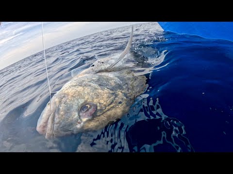 Ang Bigat Pala Isdang Ito