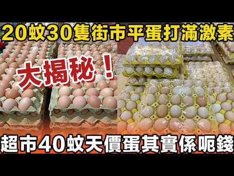 20蚊30隻街市平蛋打滿激素?超市40蚊天價蛋其實係呃錢?!踢爆香港買餸最大騙局!真相嚇親百萬師奶!