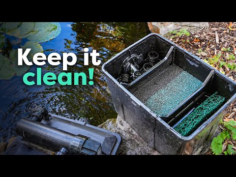 How to Clean Pond Filters (and Why It's So Important)