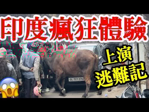 炸裂的印度德里旅行體驗,直接上演逃難記😱 真實拍攝各種魔幻見聞【印度旅遊】2026年印度德里自由行攻略・印度路邊攤・月光集市・印度美食・德里紅燈區・空氣污染・空污指數PM2.5 India Delhi