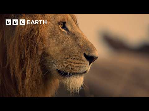 An Adventure Through Africa in 4K | BBC Earth