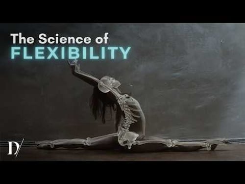 Why Most Stretches Don’t Work – Science-Backed Tips for Dancers to Gain More Flexibility