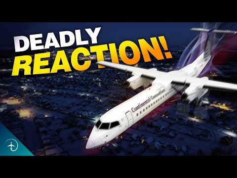 The CRASH that Changed US Aviation.