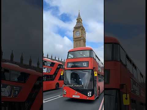 Life of UK๐ฌ๐ง #nature #reels #shorts #viral #travel #vlog #london #views_viral_video_subscribers_grow