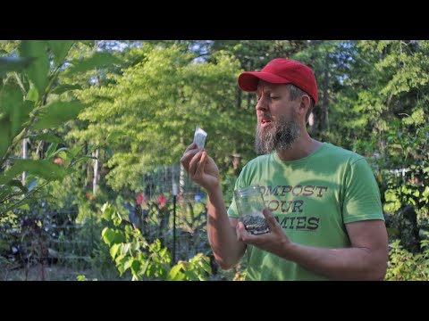 Gardening Tips and Tricks: Bad Harvest? Try This!