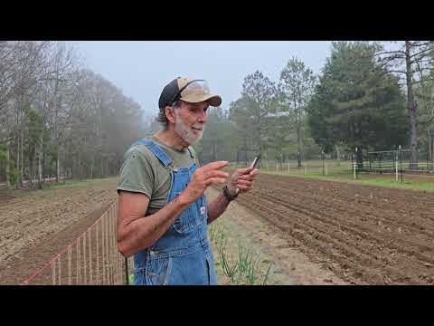 People Get Their FEELINGS Hurt! Best Onion Ringer