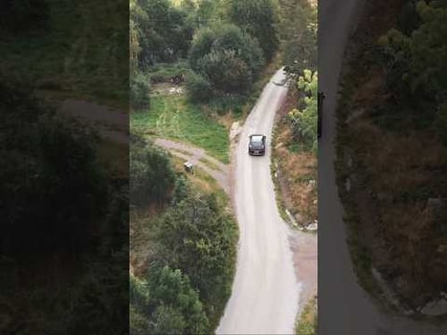 Unser Schweden-Abenteuer beginnt 🇸🇪