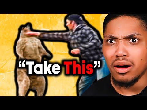 Most DANGEROUS Animal Encounters..