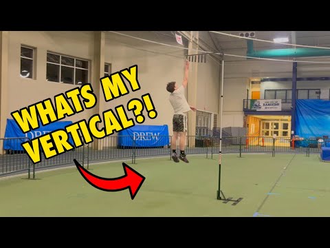 I Haven't Jumped in 2 Months, What's My Vertical?