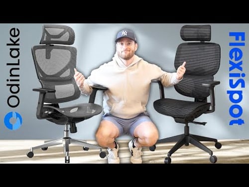 Best $300 Ergonomic Chair? OdinLake L1 (Ergo UPGRADE 518) Review