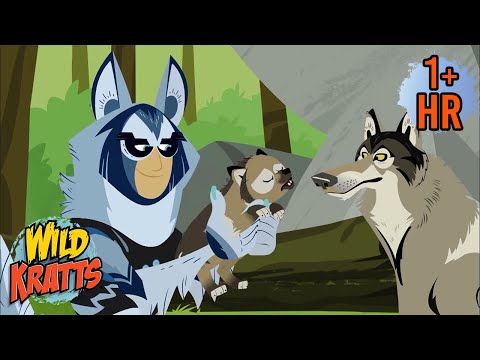 Wolf Pack Rescue! Chris and Martin’s Wild Rescue | Wild Kratts | 9 Story Kids