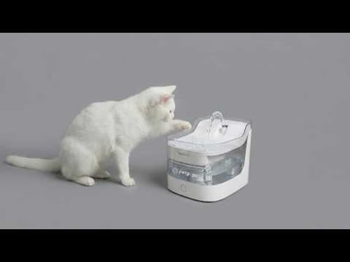 What's the point of this for a cat?