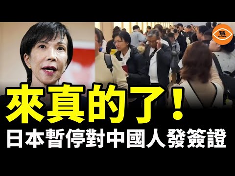 Japan has taken drastic measures! Visa issuance to Chinese citizens has been suspended, and the p...